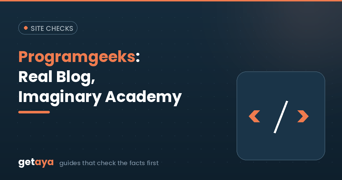 Programgeeks.net: A Real Blog, an Imaginary Learning Platform, and Some Copycat Domains